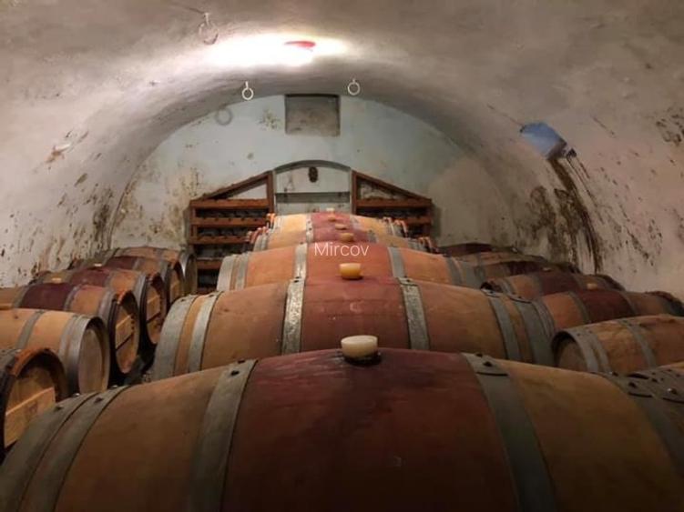 Crama / distilerie  boutique + 20000 sticle vin premium in DOC MINIS  - 2