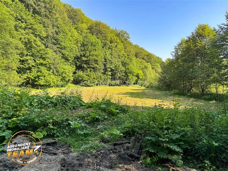 FILM! Teren extravilan pe 2.737mp,zona pretioasa,acces facil,Dobarlau,Covasna - 13