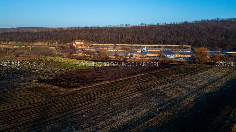 Fosta Ferma a Partidului de la Horgesti - de vanzare - 11