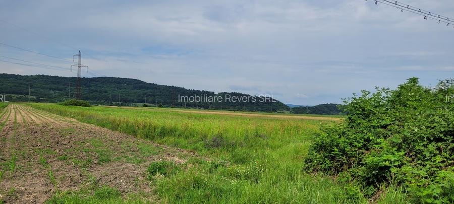 TEREN AGRICOL BABENI LANGA ABATOR LA PROVINCIA - pretabil ferma cu panour solare - 5
