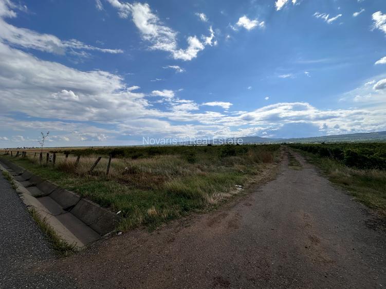 Teren extravilan de vânzare DN2D ( Soseaua Vrancei ) - 4