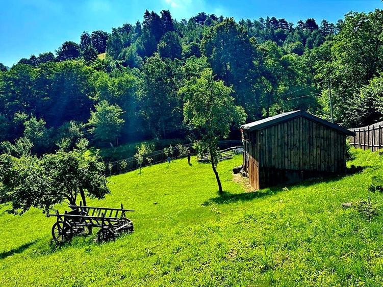 TEREN UNIC in Schei cu cabana