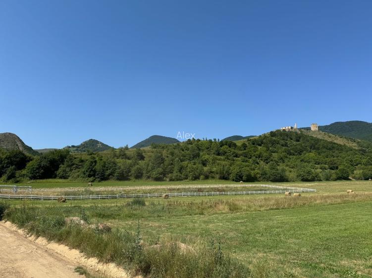 Vând teren la poalele cetății  - 4