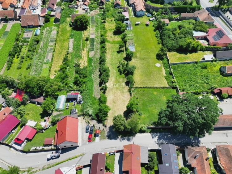 Teren Intravilan 1.251 mp în Rotbav (Brașov) – Toate utilitățile, acces asfaltat - 6