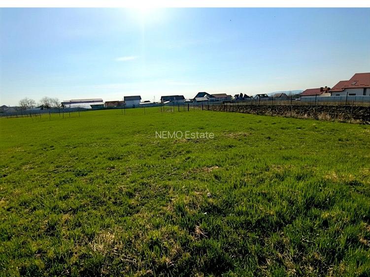 Teren Intravilan Salcea | 72.000 MP | Parcelabil | Investiție Majoră - 7