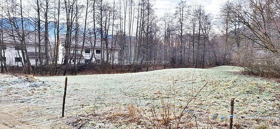 Bran -Predelut, teren intravilan de 1820mp, 29 euro/mp - 7