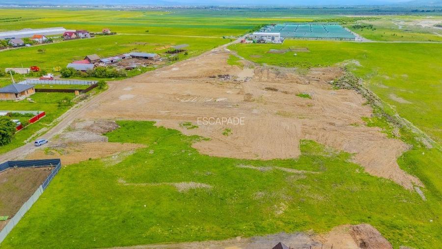 Teren intravilan 1450 mp – Carpiniș , Ideal pentru casă de locuit - 14