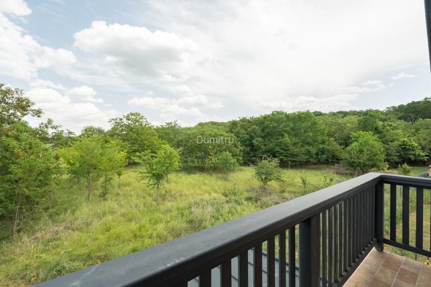 Casa noua 200 mp utili si 500 mp teren  Snagov-Ciofliceni padure - 13