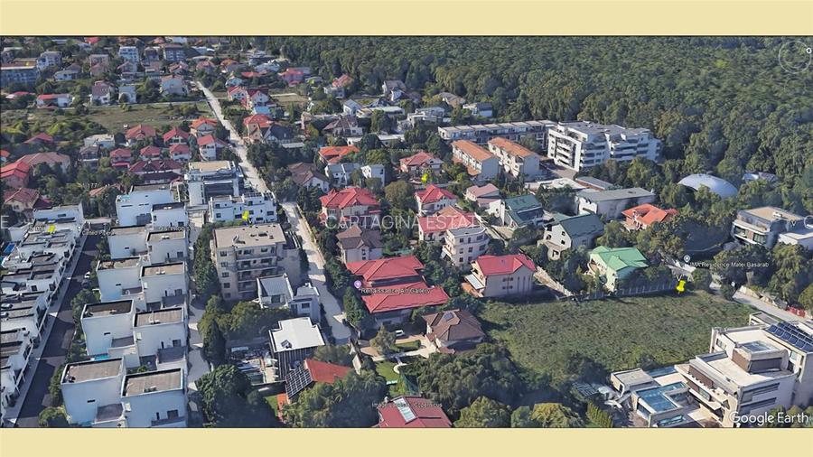 Iancu Nicolae 1.720 mp - 3