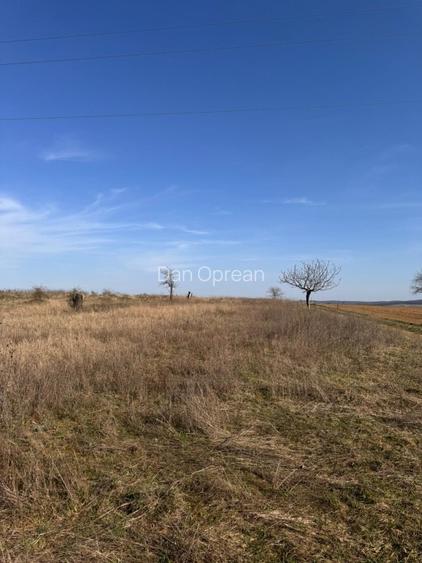 Teren intravilan panoramic 6700 mp – ideal vilă premium – aproape de Oradea - 6