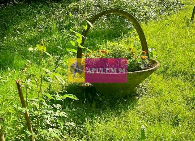 Casă de vânzare în Provița de Jos - 42