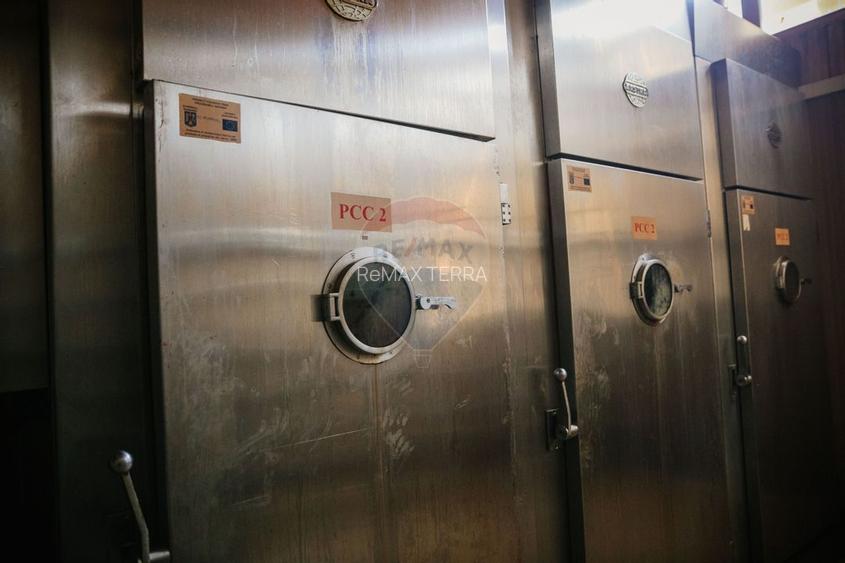 De vânzare AFACERE la cheie--CARMANGERIE--ABATOR--PREPARARE MEZELURI - 7