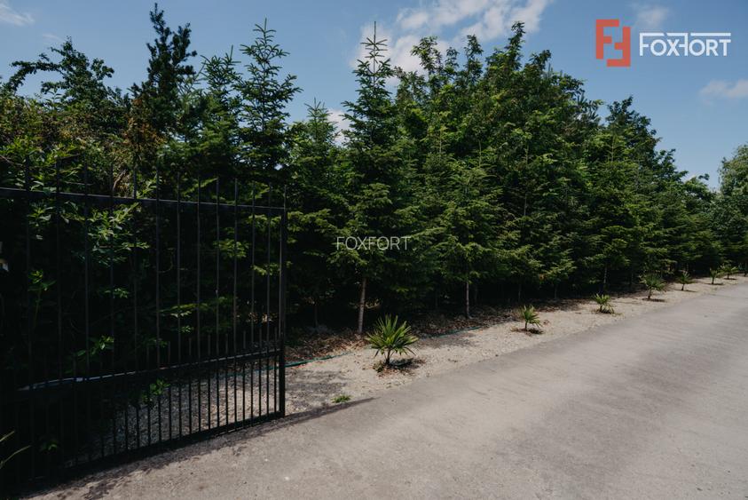 Casa individuala cu 8 camere si lac cu pesti, teren 4424 mp - Jebel - 28