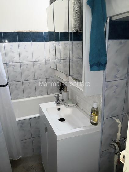 Teiul Doamnei, Lacul Tei, Parc, Colentina, semistradal, ocazie - 8