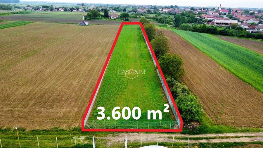 Teren 3.600 m² in Odoreu | 7 km de Satu Mare | 160 m de Principala - 4