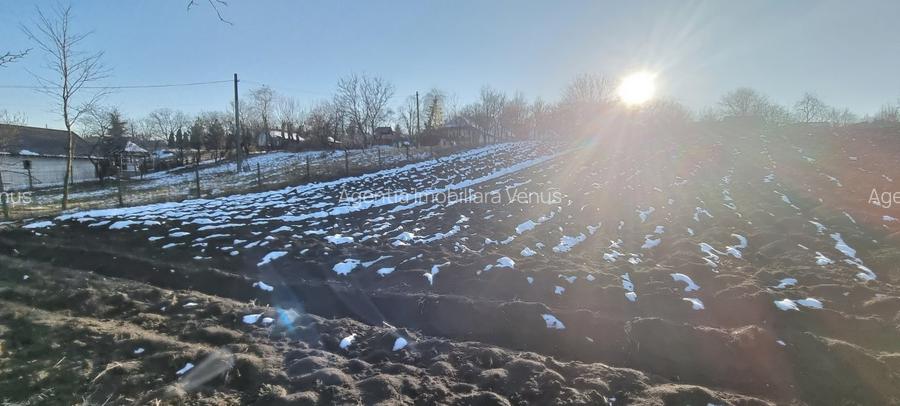 Loc de casa in Manastirea Doamnei - 3