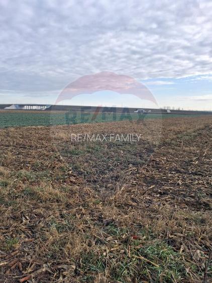 Teren intravilan 3400mp de vânzare la Sântion - 3