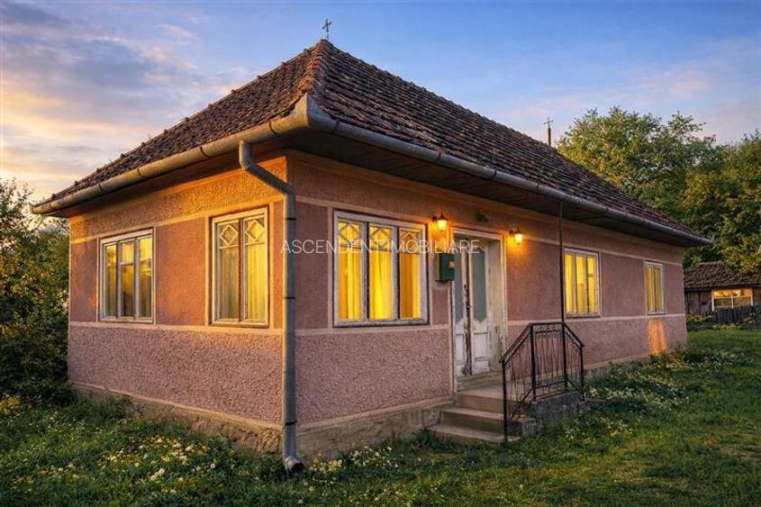 Teren roditor de peste 1.000mp cu casa traditionala, Sanzieni, Covasna - 4