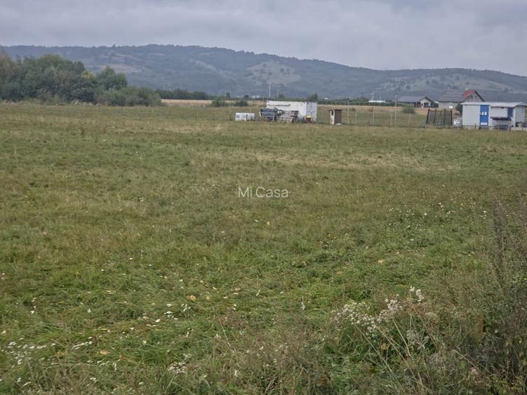 Teren intravilan RASNOV - 7