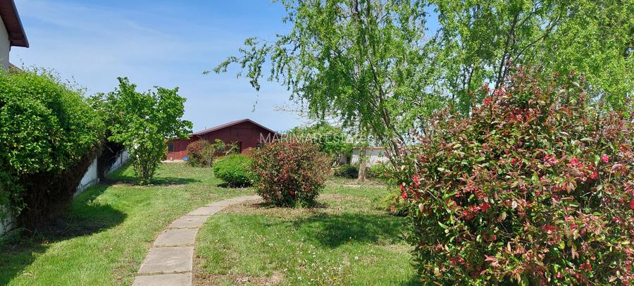 Casă de vacanță sau locuință permanentă, teren 2649 mp, Snagov - Ciofliceni - 4