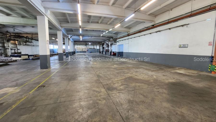 Spatiu industrial productie/ depozitare, Timiș - 3