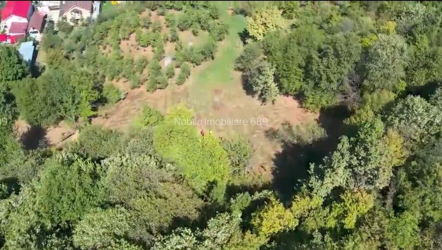 Teren intravilan + extravilan 10.537 mp – casa, livada sau ferma de familie - 2