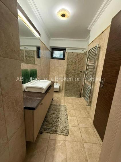 Herastrau Kiseleff Ap 3 cam deosebit - 9