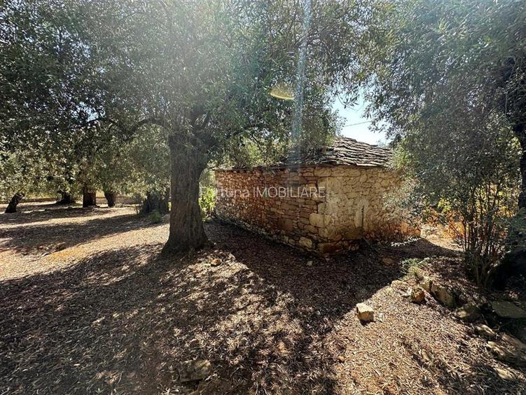 Teren intravilan pe insula Thassos, aproape de plaja salbatica - 18