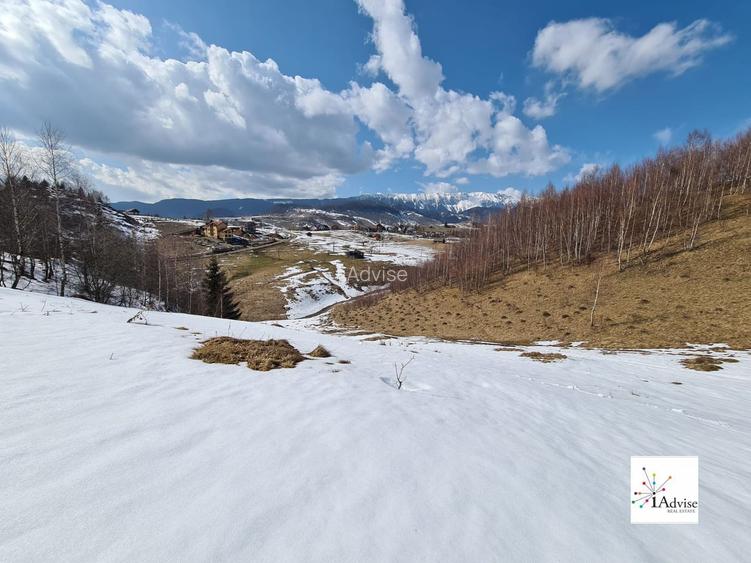 Teren De Vanzare In Sirnea - 31