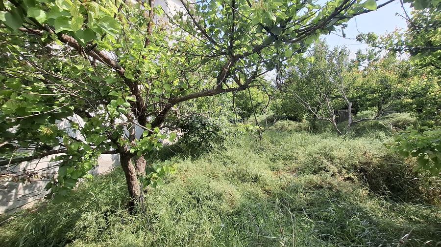 Kamsas - teren 1150 mp cu deschidere 30 ml - 5