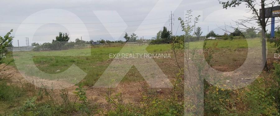 Teren intravilan 4.800 mp – lângă Autostrada Pitești - SuperNova - 5
