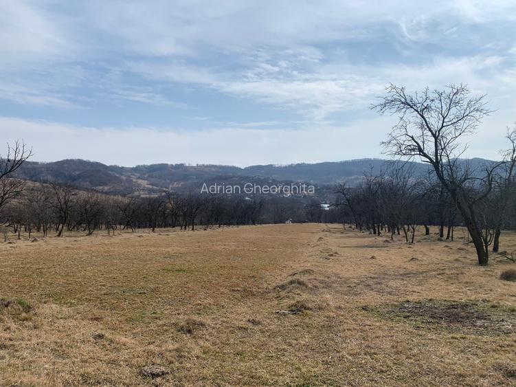 Teren intravilan construibil 4.149 mp, 28 m front – Ogretin (Drajna), utilități  - 9