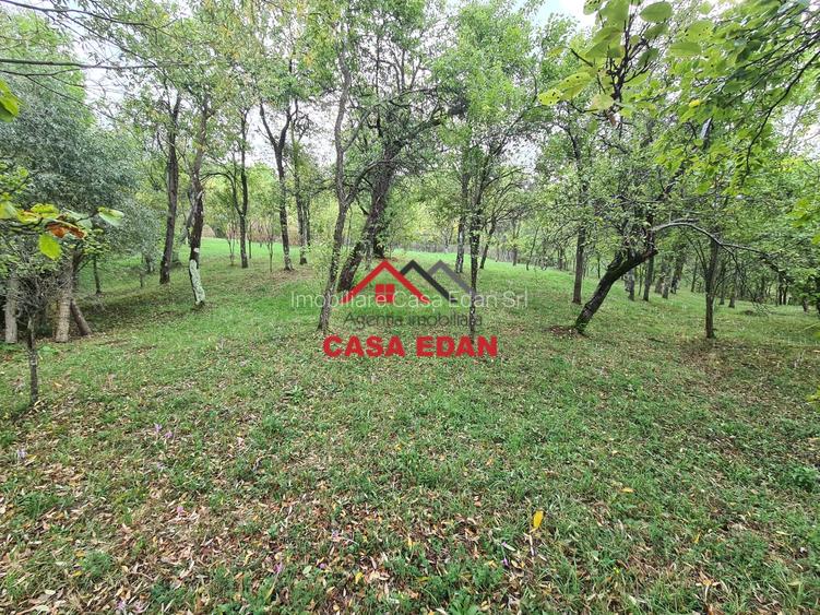 Teren intravilan in Sotrile--5991mp--10e - 6