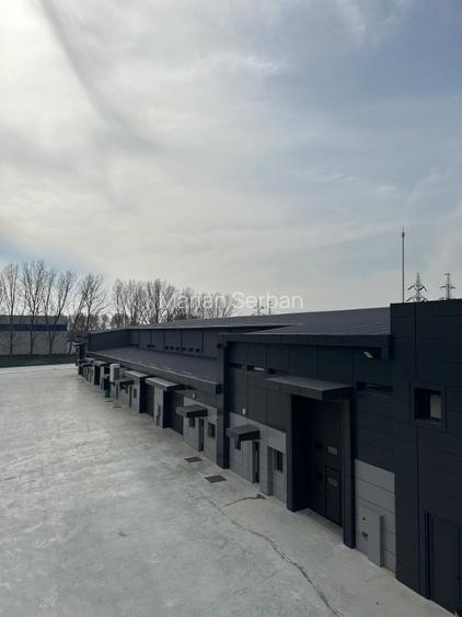 De închiriat hale industriale – Constanța Str. Celulozei (Zona Dobrogea) - 14