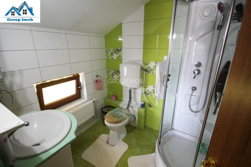 Vila pentru pretentiosi - Serbanesti - 15