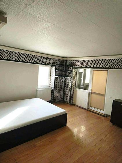 Apartament  de inchiriat cu o camera Pacurari - 2