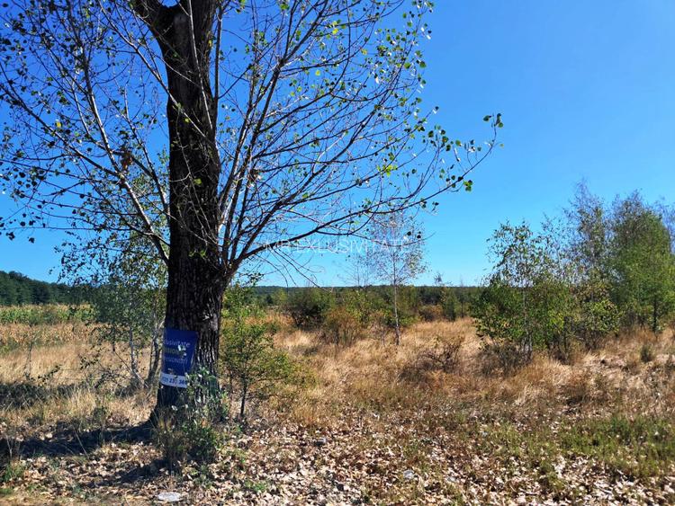 TEREN INTRAVILAN ȘI EXTRAVILAN BAIA DE FIER - 5