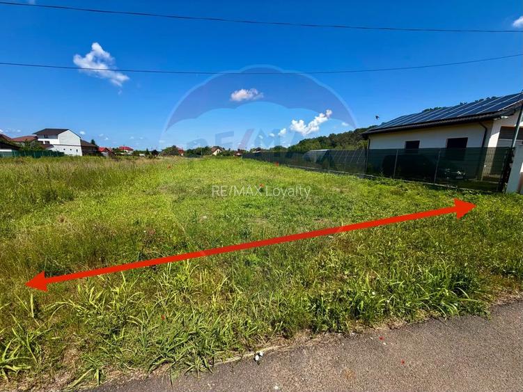 De vanzare Teren intravilan 1000 mp, langa padure, Moara Vlăsiei - 2