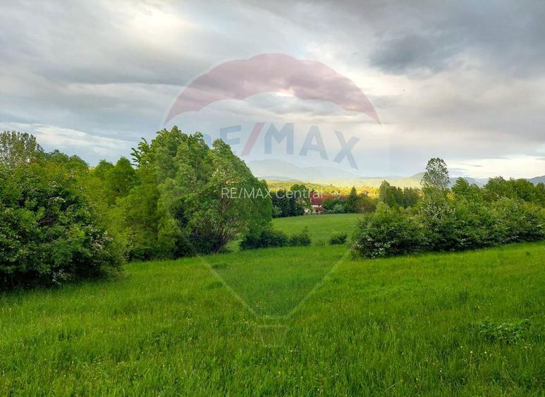 Teren Bran-Zarnesti - Tohanita, 4223mp - 10