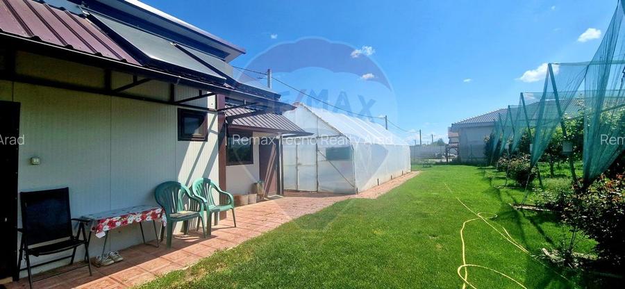 TEREN Investitie livada cu 116 pomi fructiferi in Comuna Livada - 4