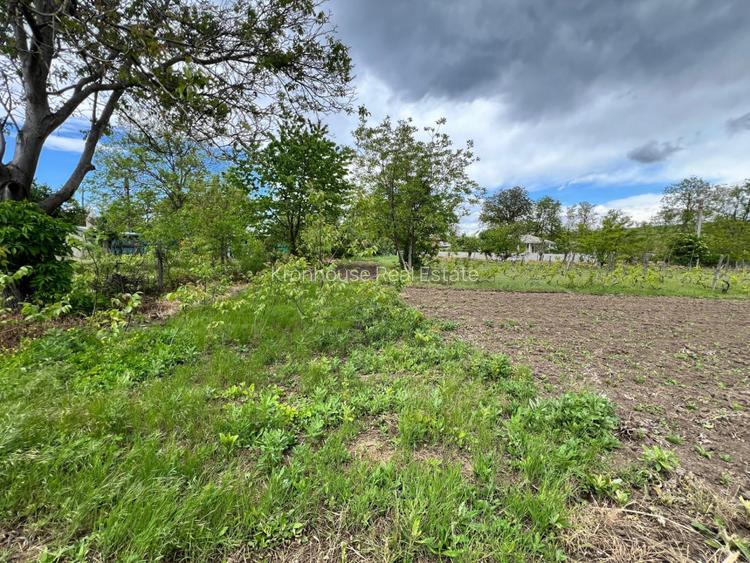 Casa + teren 4430 mp, vie si pomi fructiferi, 22 km de Tecuci - 15