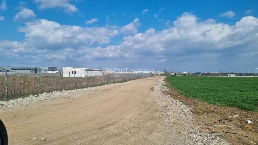 Vanzare Teren construibil Magurele Varteju - 3