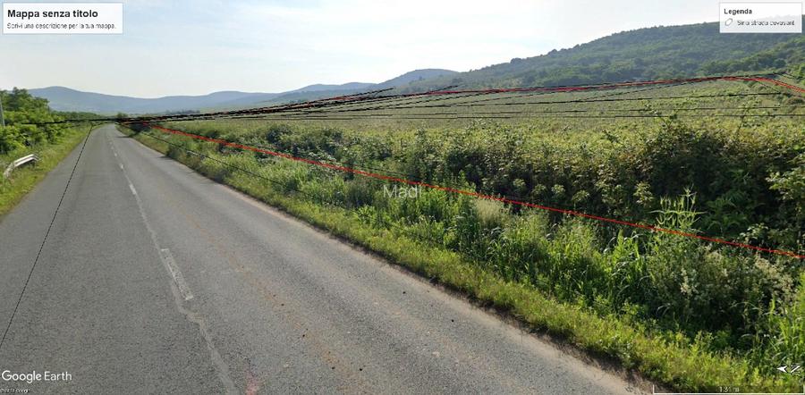 18,57 Hectare lot compact - Plantatie vita de vie pe rod, soi Pinot Noir - 3