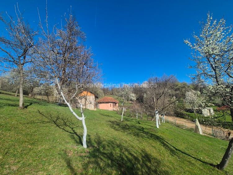 Casa de vanzare intr o zona linistita la 150m de strada principala - 6