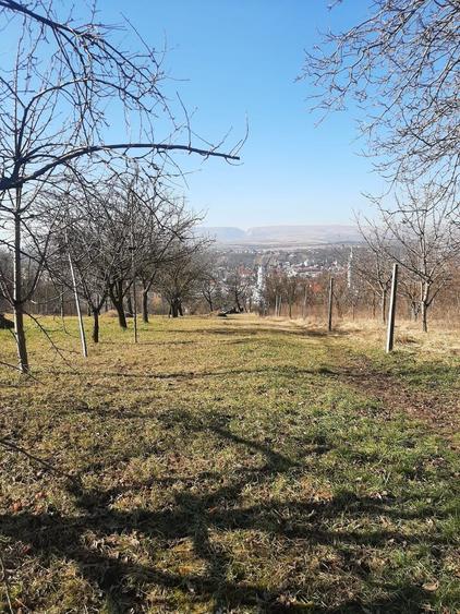 Teren de vanzare in Turda