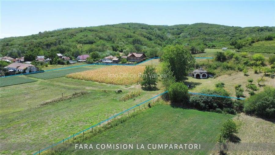 OPORTUNITATE UNICA IN DOMENIUL VITICOL - 2