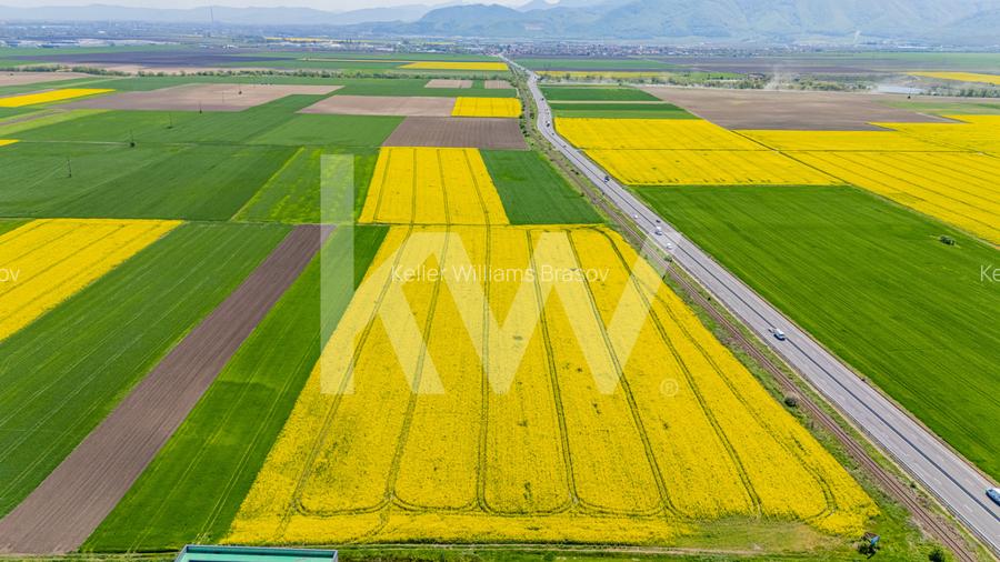 Teren 10.600 mp în Codlea – ideal pentru investiție industrială - 2