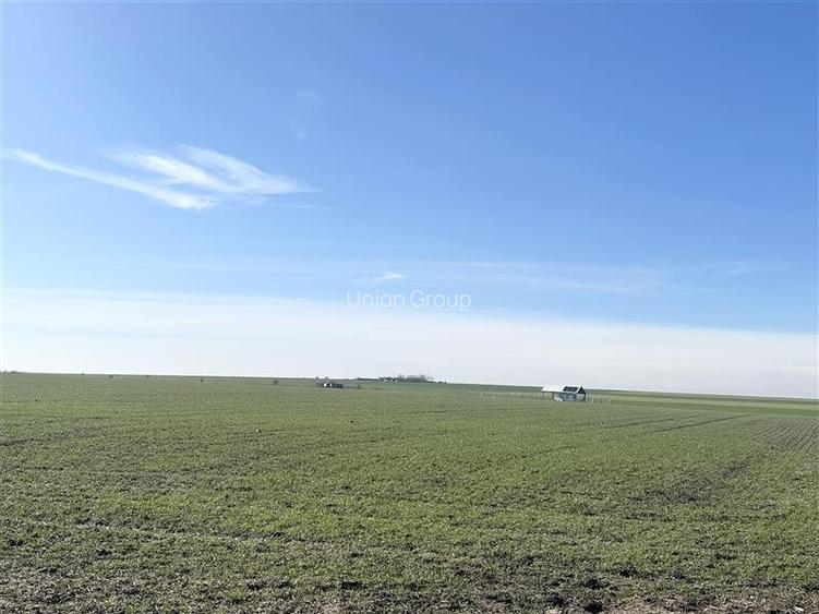 Teren Intravilan, 700 mp, Aproape de Lac - Techirghiol - 2