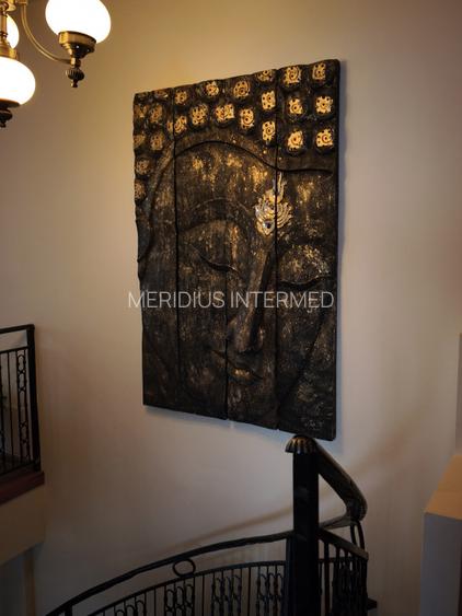 Vânzare Apartament - Duplex cu dotări bulevard Mamaia parcare privata - 4