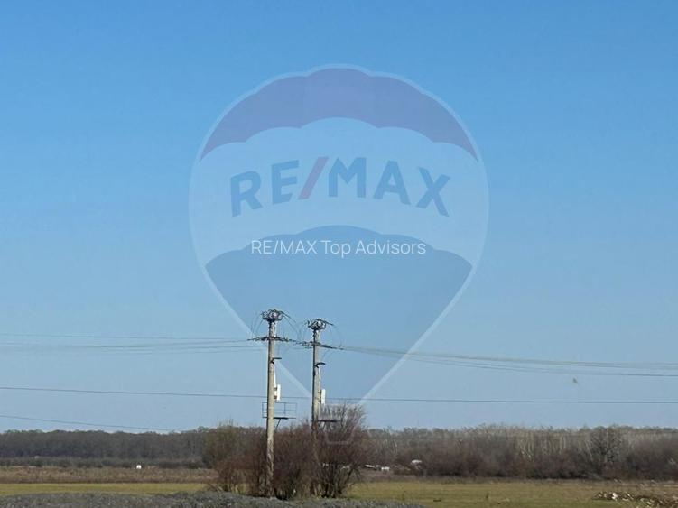 VANZARE Teren intravilan 40,000mp Cocani / Academia Titi Aur - 4